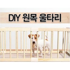 안전문롤