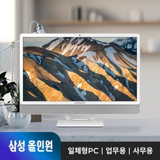 삼성 DM530ADA-L25A 인텔 팬티엄/4G/128G/Win11 pro / 올인원PC 일체형PC