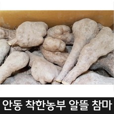 안동참마못난이