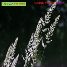 3842322c4d2817aa22cd92df6231a157e2a8a53acd6f634471909fcb3db6.png