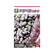 다농 호랑이콩(넝클성)씨앗 30g, 1개