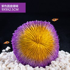 블루크로우가재 TOP01