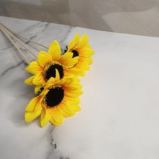 c0cc38490cc83efb5adac7a8e1e2804d5ac55f91ffb881f6a78b134bc501.jpg