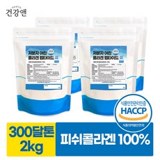 건강앤 저분자 피쉬콜라겐 분말 500g 계량스푼 사은품, 4개