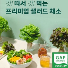 수경재배모듬쌈