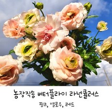 fb0d755937d25486be0292a4237721086e8d2be83f666e308fe7f5990395.jpg