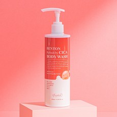 벤튼파우더워시