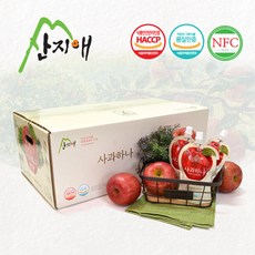 산지애 사과원액주스 60팩 / 사과즙 착즙 NFC, 120ml, 60개