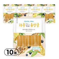 네츄럴코어 강아지간식 하루유산균7 12p 72g, 황태, 10개 - 강아지유산균하루올데이인기