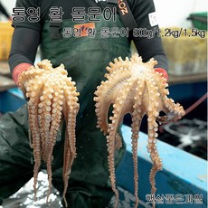 통영문어