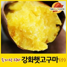 2023년 강화속노랑고구마 강화도호박고구마 햇고구마 [소(한입)크기] 5kg 10kg 선택., 1박스, 선택2. 소(한입)10kg