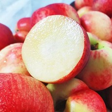 자연에서바로 신비복숭아 4kg 중대과 (개당110g내외) 33-39과