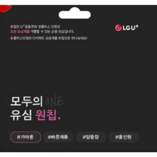 골든싸이]LGU+공용유심(원칩)1개