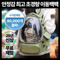웰몽 반려동물 우주선 백팩 이동가방, 1개, 그린