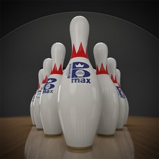 볼링공 전문 볼링 핀 표준 볼링장 용품, [01], 흰색(1개)