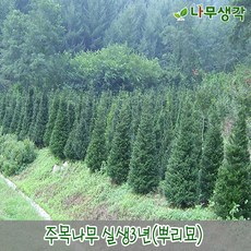 9bcadbf328cce8d4d8ecabb3d1bc24aa21f58c6bfd7828e6bd2ae3625299.jpg