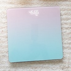 파스텔체중계 TOP01