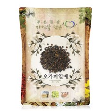 푸른들판 국내산 건조 오가피 오갈피 나무 열매, 500g, 1개, 500g