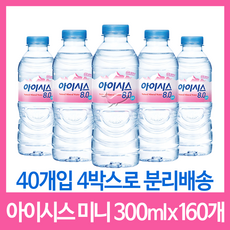 아이시스300