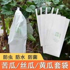 과일 전용 나일론 주머니 커버 포도 복숭아 방충 조류 방지 방조봉지 초파리, 1개