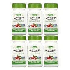 6개 Nature's Way 네이처스웨이 호손베리 1530mg 100정