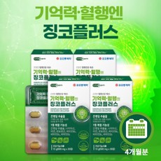 단기기억