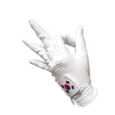 국가대표골프장갑