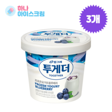 빙그레 투게더 프로즌요거트블루베리홈 3개 아이스크림, 710ml