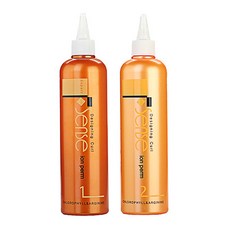 DK 디케이 디자이닝 컬 센스 이온 펌 1 2제 410ml, 1개