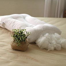 아토앤알로경추배게