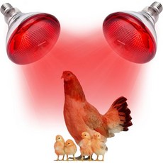 닭용 히트 램프 브로더 및 파충류 열 전구 150와트 적외선 적색등, 2 Pack, 1개