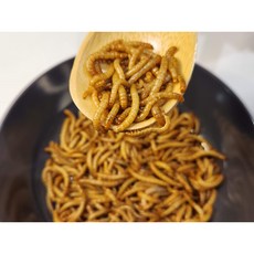 밀웜 50+50마리 고슴도치 햄스터 먹이 간식, 극소