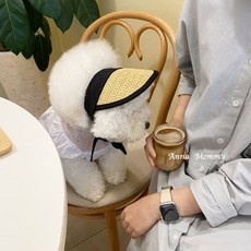 애완견 모자 반려견 썬캡 밀짚모자 소형견 산책용품, S사이즈(머리 둘레 18-25 cm)는 6파운드에 적합, 캐주얼 블랙 밀짚 모자, 1개