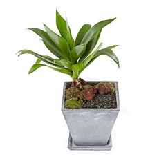 d23b7a75e2624835f00846c3f588bcb001627cfc24bb887f19c844f2dbe1.jpg