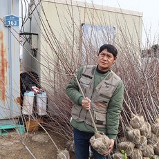 플라밍고셀릭스