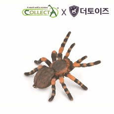 타란툴라장난감