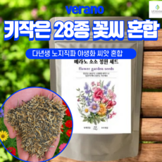 [노지직파 꽃씨앗 대용량] 베라노 소소정원 28종 키작은 꽃씨 혼합 1.5평파종가능 노지 월동 다년생 사계절 야생화 종자, 1개 1개