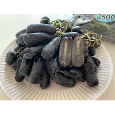 스윗사파이어