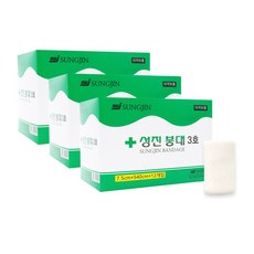 성진하이쿨