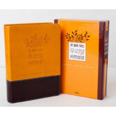 큰글로읽는우리말비전성경두란노