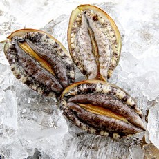 완도 청산 활전복 수산물 선물용 1kg 특대 10미 큰전복 12미 대전복 14미, 13~14미
