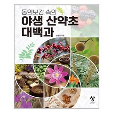 산약초백과