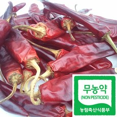 무농약건고추