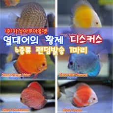 2f4e1a2f6082a902ff97f956fa71a8f57e99fb218b9336a9bd8a28c9fc46.jpg