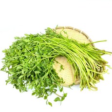 청도 풍각 미나리 500g 1kg