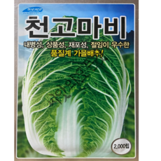 청방배추