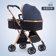기내반입세발자전거