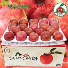 청정 영주소백산사과 가정용 부사사과 ~10kg 산지직송, 8kg대과(22~24과내외)