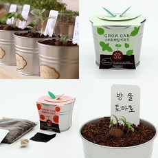 모벨제이