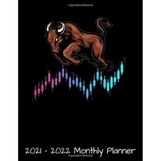 2021-2022 월간 플래너 : 주식 거래자 거래를위한 황소 주식 시장 선물-일일 주간 월간 플래너-24 개월 2, 단일옵션